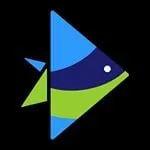 Invideo discount code